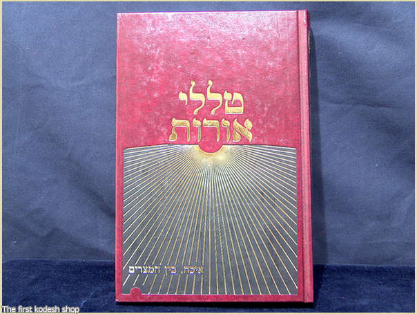 כל תשמישי הקדושה ספר טללי אורות לט באב, על מגילת איכה וימי בין המצרים 